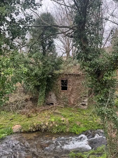 Vista exterior de Finca rústica en venta en Castropol