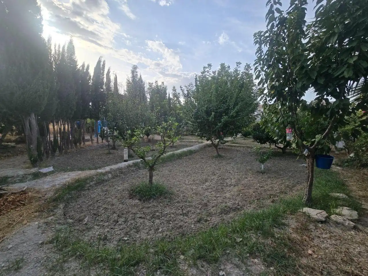 Reihenhaus mit Garten zum Verkauf in Calle de las Arboledas, imagen 50