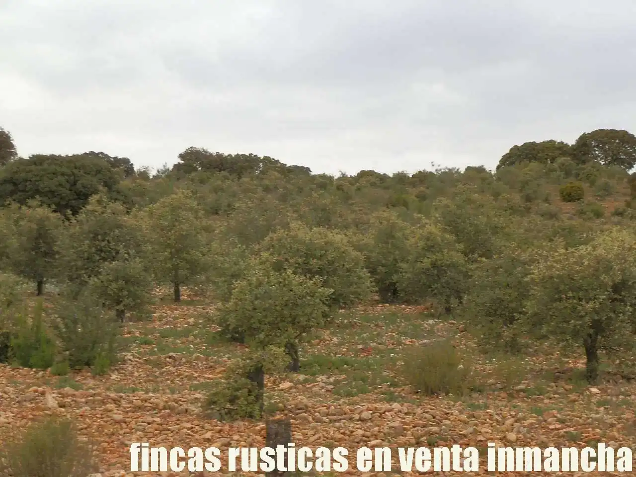 Terreno rustico in vendita a Ruidera, imagen 22