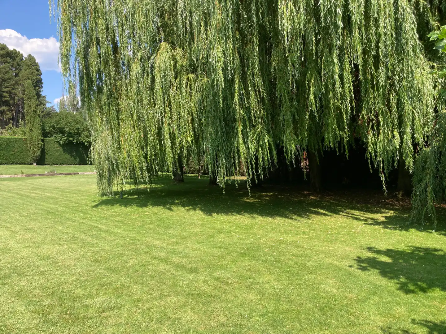 Jardín de Casa o chalet en venta en León Capital  con Calefacción, Jardín privado y Horno