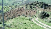 Terreny en venda en Álora