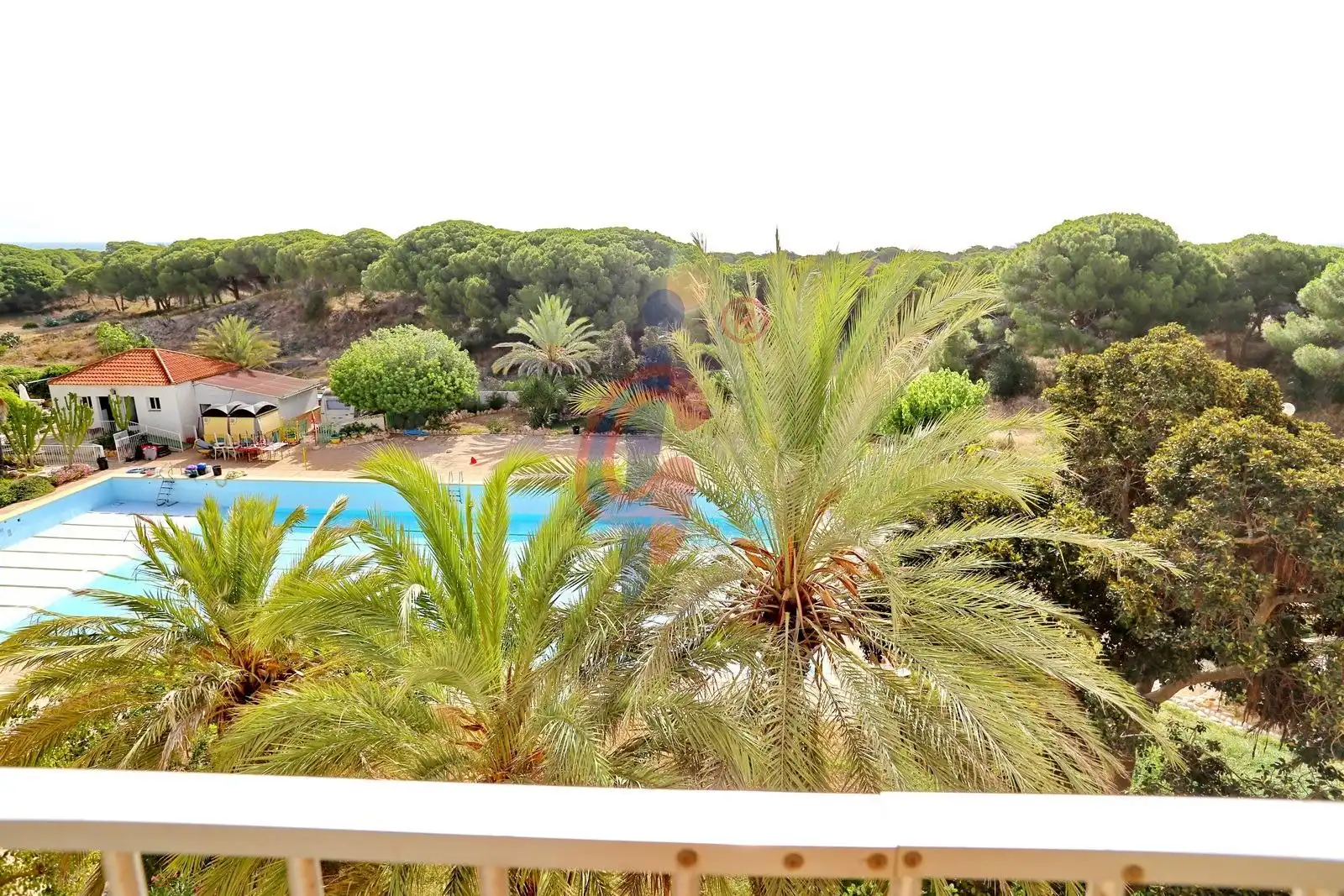 Piscina de Apartament en venda en Guardamar del Segura amb Moblat