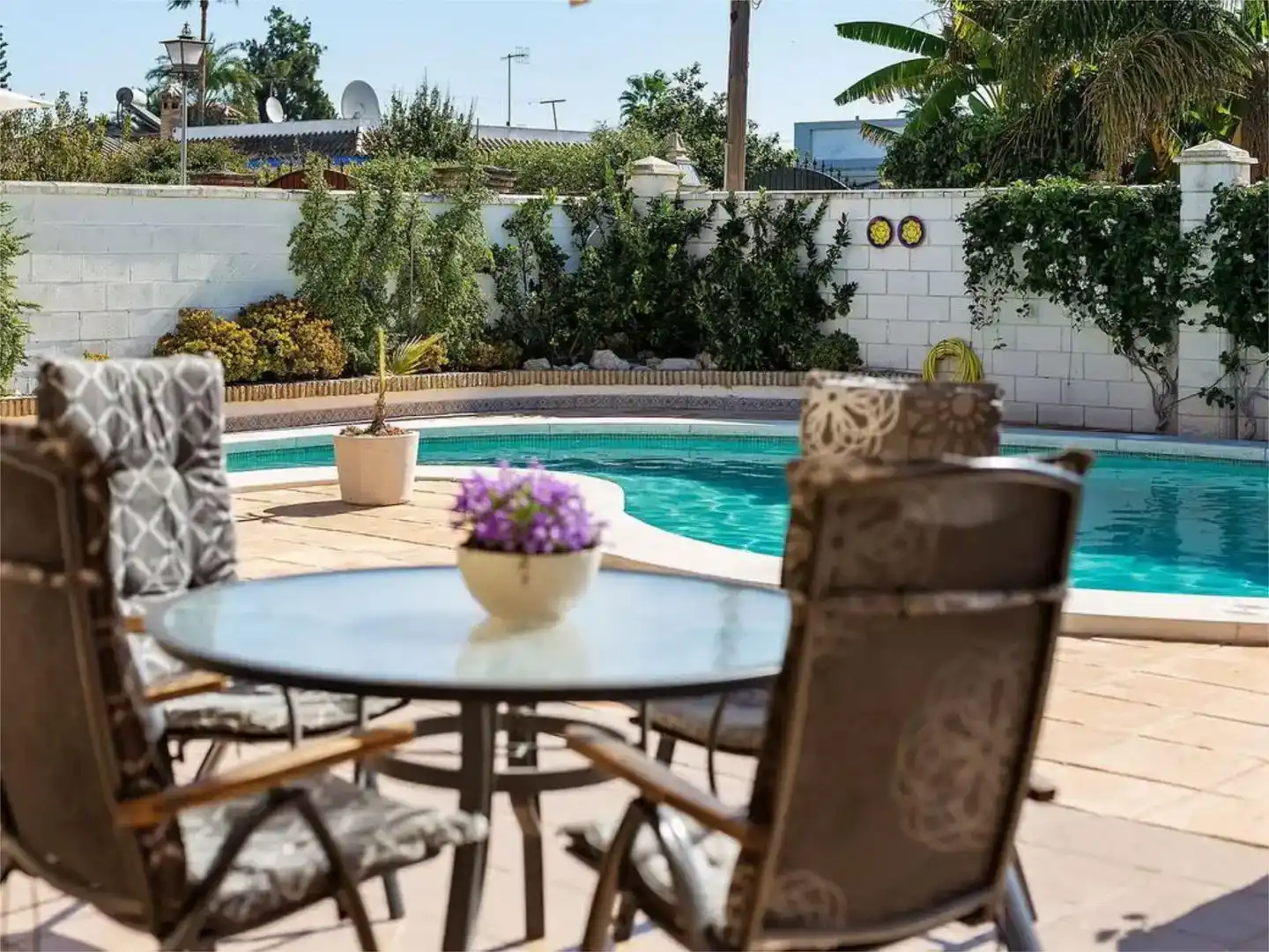 Swimming pool of Detached homes for rent in Sanlúcar de Barrameda  with Air Conditioner and Swimming Pool