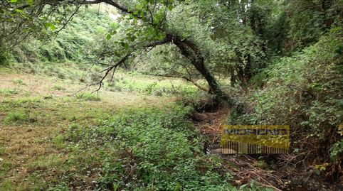 FINCA RÚSTICA, Bild 4