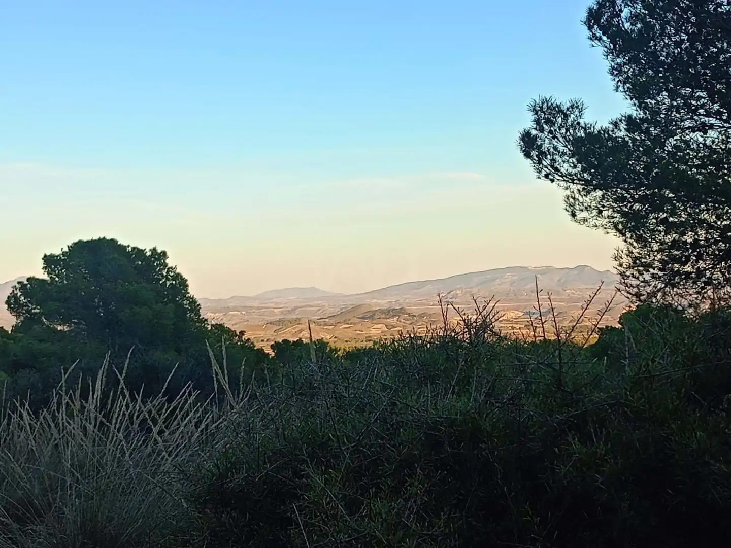 Terreno en venta en Lorca