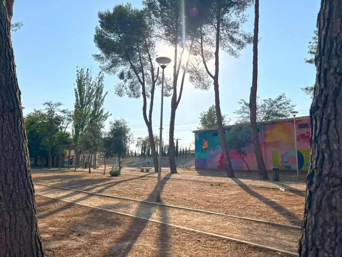 Vista exterior de Dúplex en venda en Loeches amb Aire condicionat, Calefacció i Rentadora
