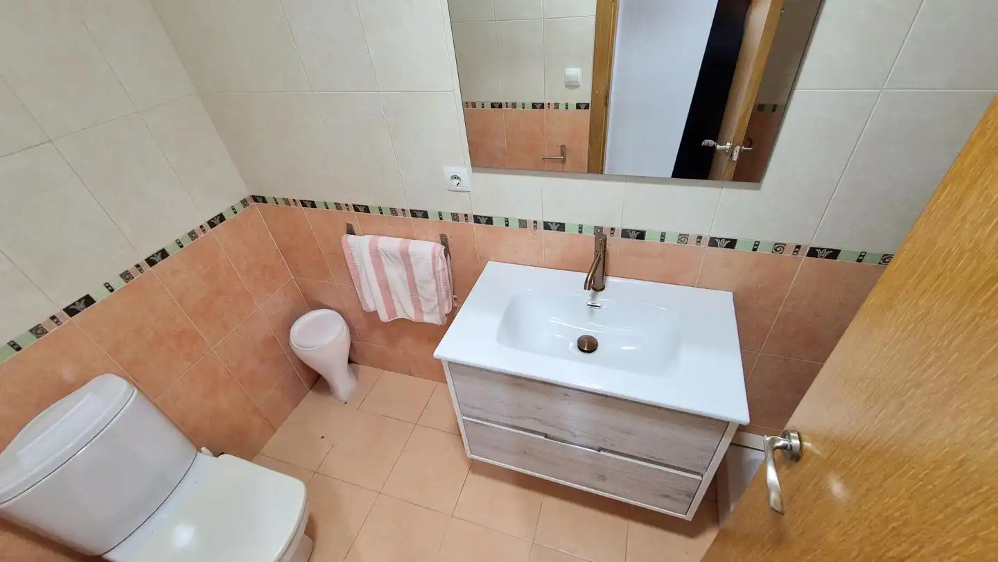 Ground floor to rent in Elche ciudad, imagen 13