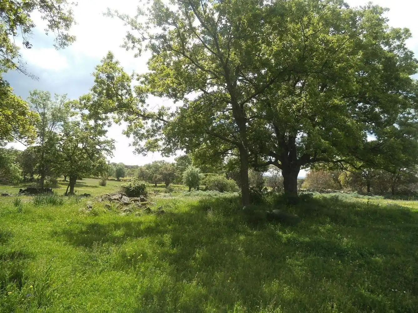 Residencial en venda en Valdemorillo
