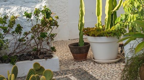 Foto 4 de Casa o chalet en venta en Calle de la Gaviota, Marbesa, Marbella