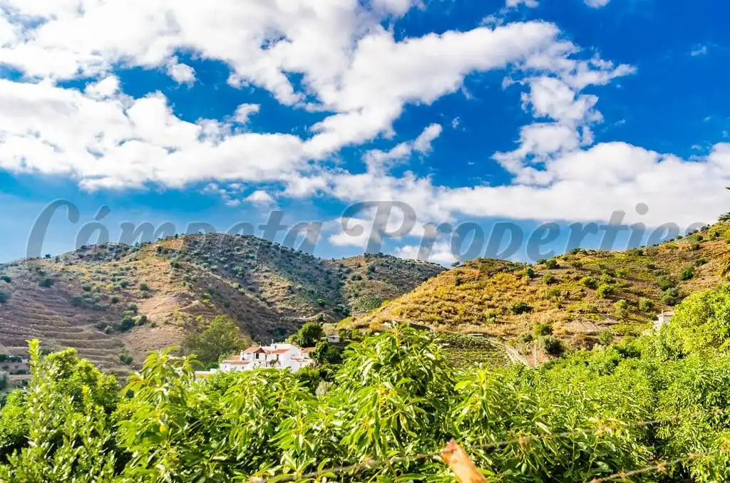 Terreno rústico en venta en Canillas de Aceituno, imagen 11