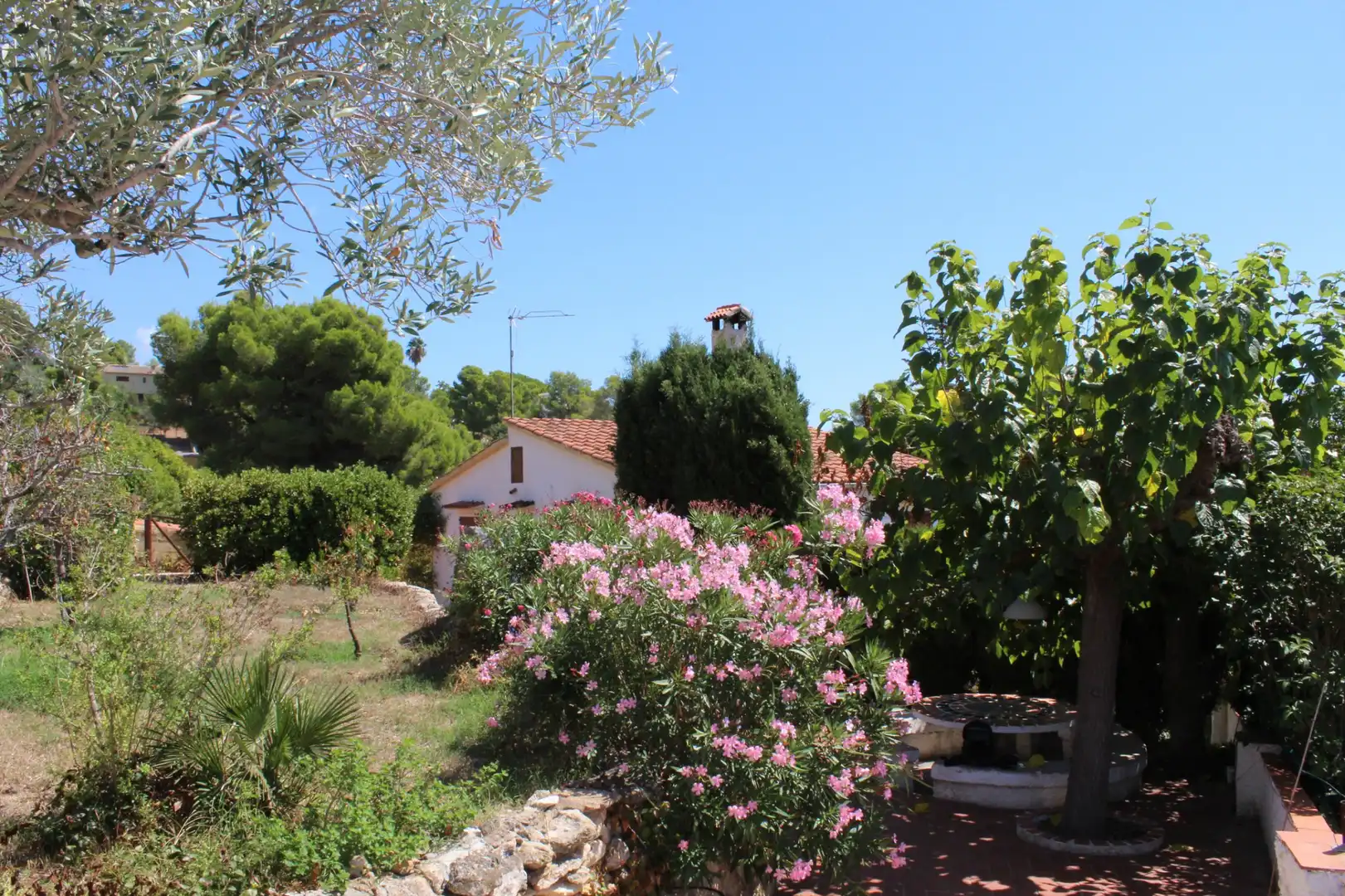 Jardín de Casa o chalet en venta en Vespella de Gaià con Jardín privado, Piscina y Amueblado