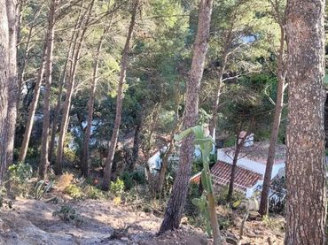 Terreno residenziale in vendita a Rosamar