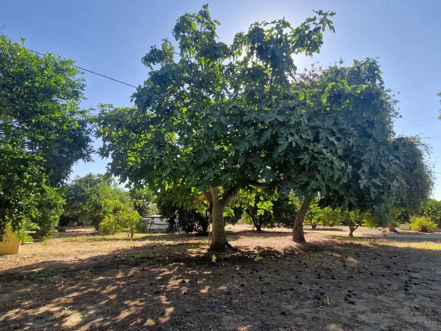 Finca rústica en venta en Jerez de la Frontera con Aire acondicionado, Calefacción y Piscina