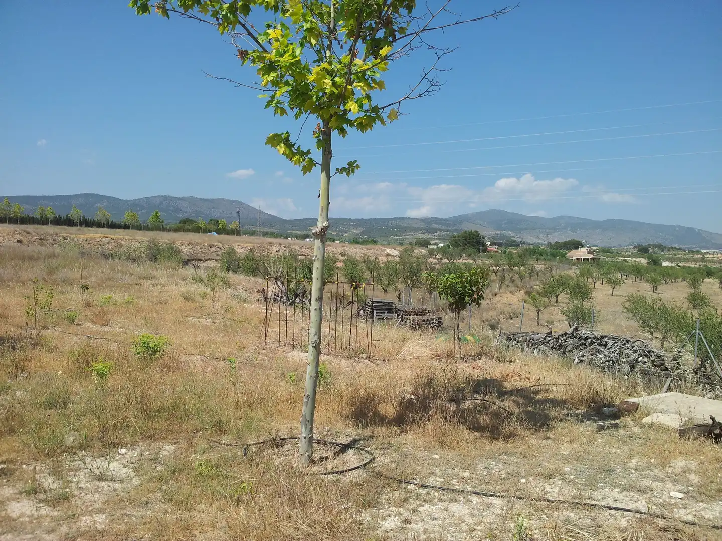 Terreny residencial en venda a Castalla, imagen 10