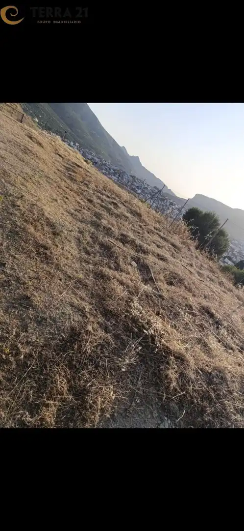 Terreni e lotti in vendita a Los Villares, imagen 3