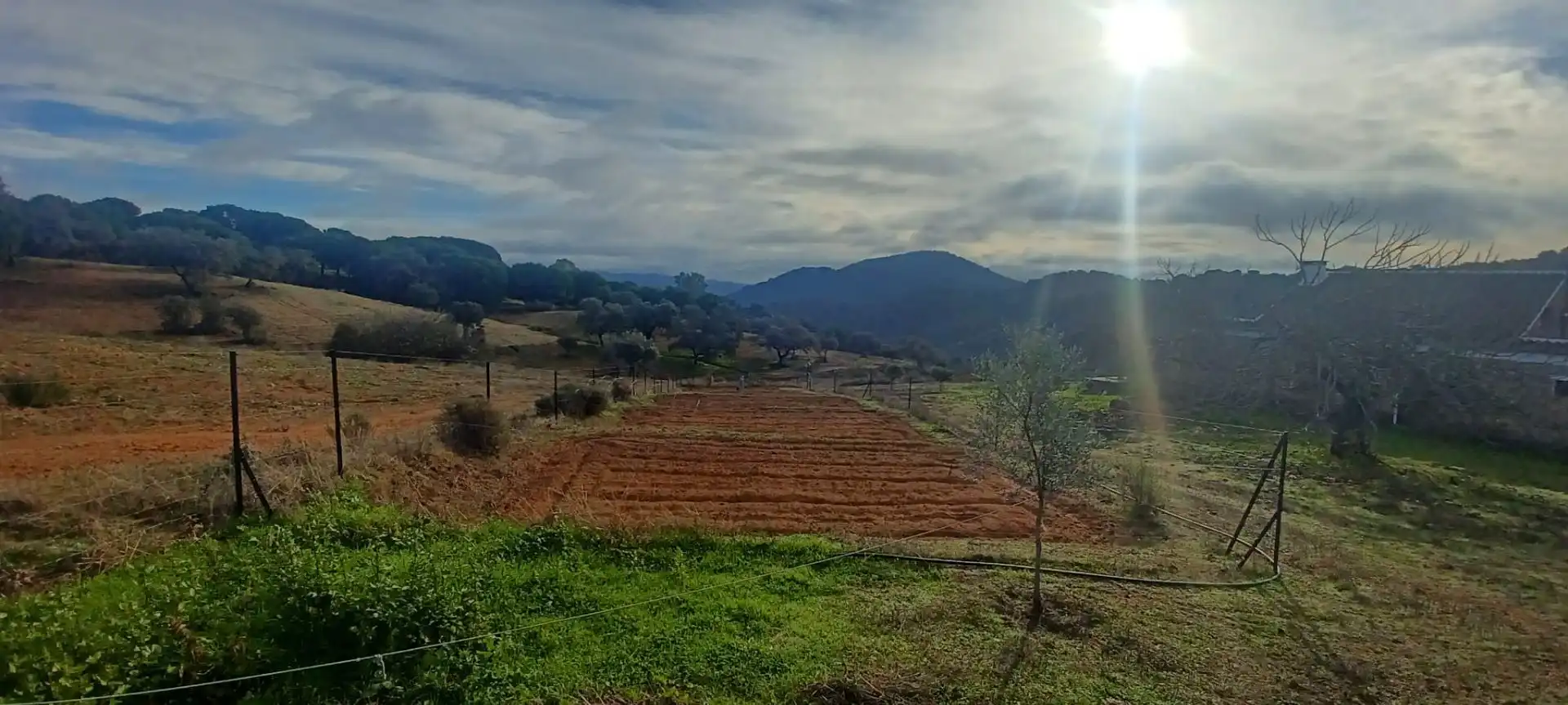 Terreny rústic en venda a Cazalla de la Sierra, imagen 51