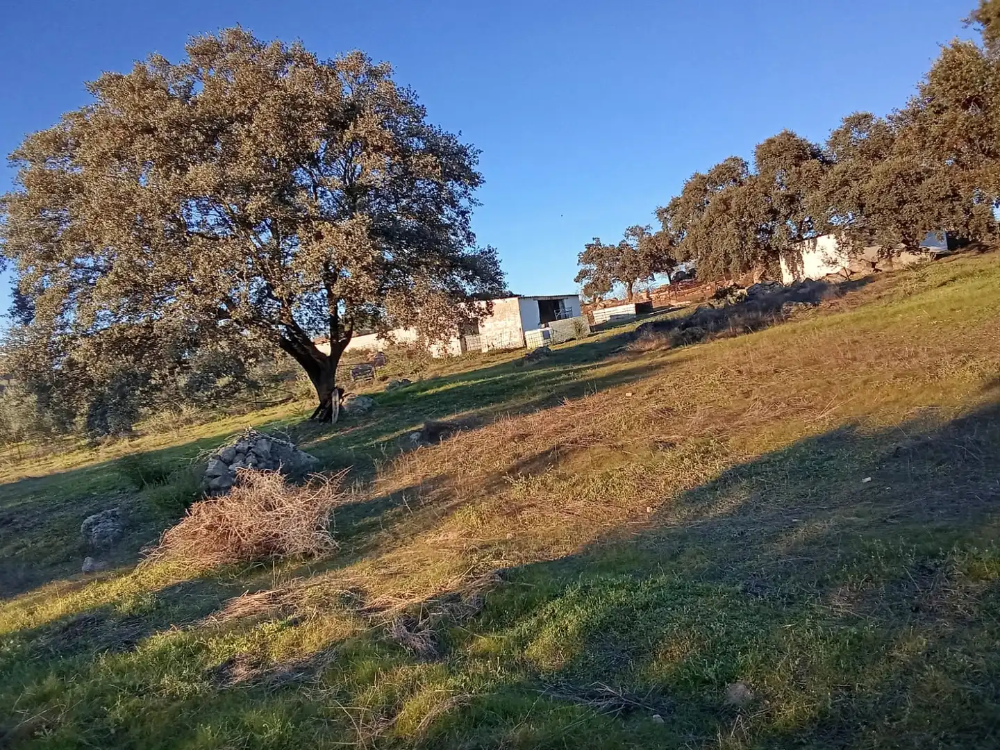 Terreni e lotti in vendita a Burguillos del Cerro, imagen 35