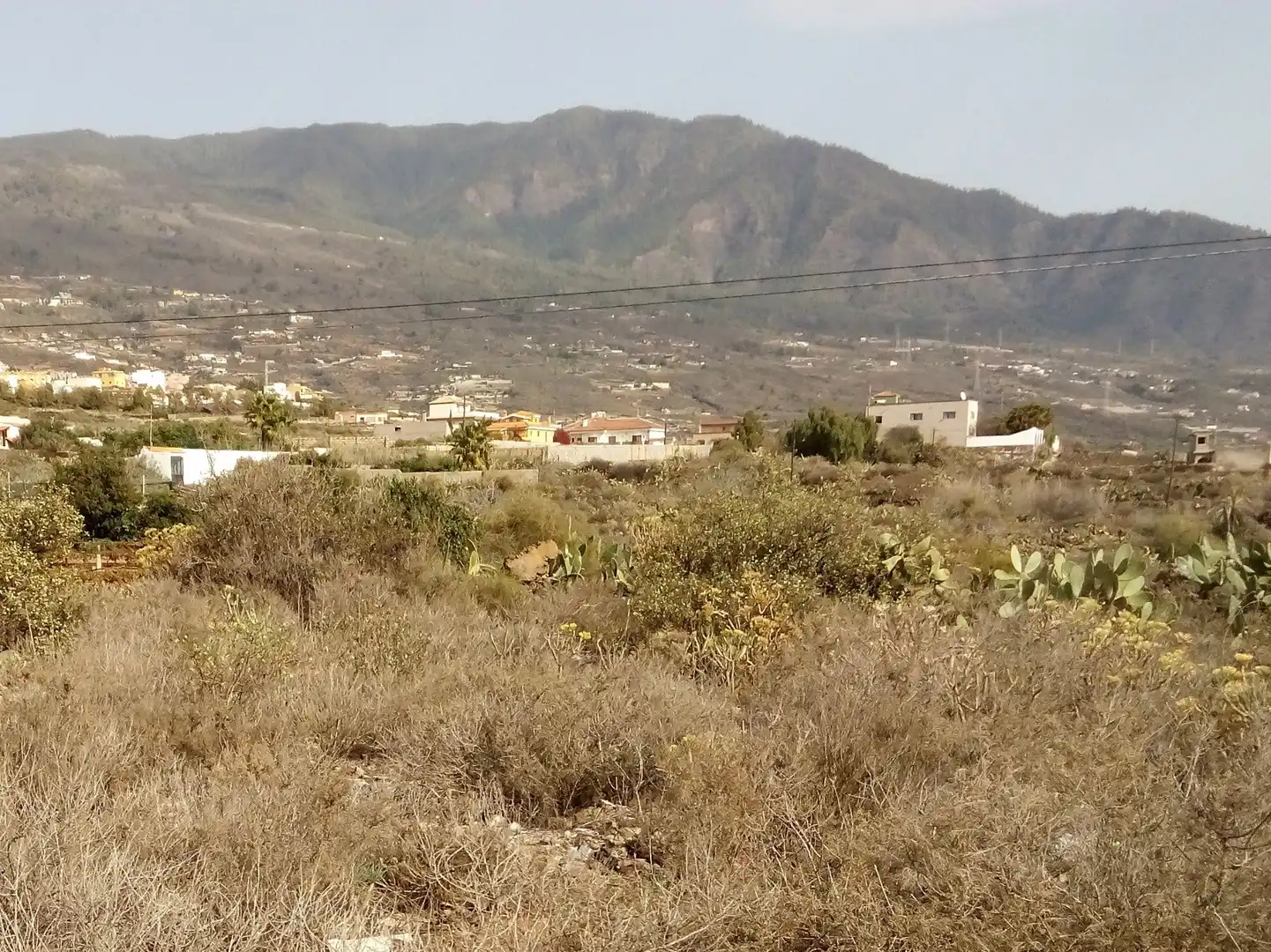 Rural land for sale in Centro, imagen 4