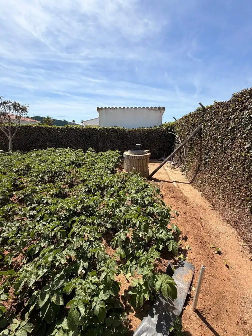 Jardín de Casa o chalet en venta en Paradas