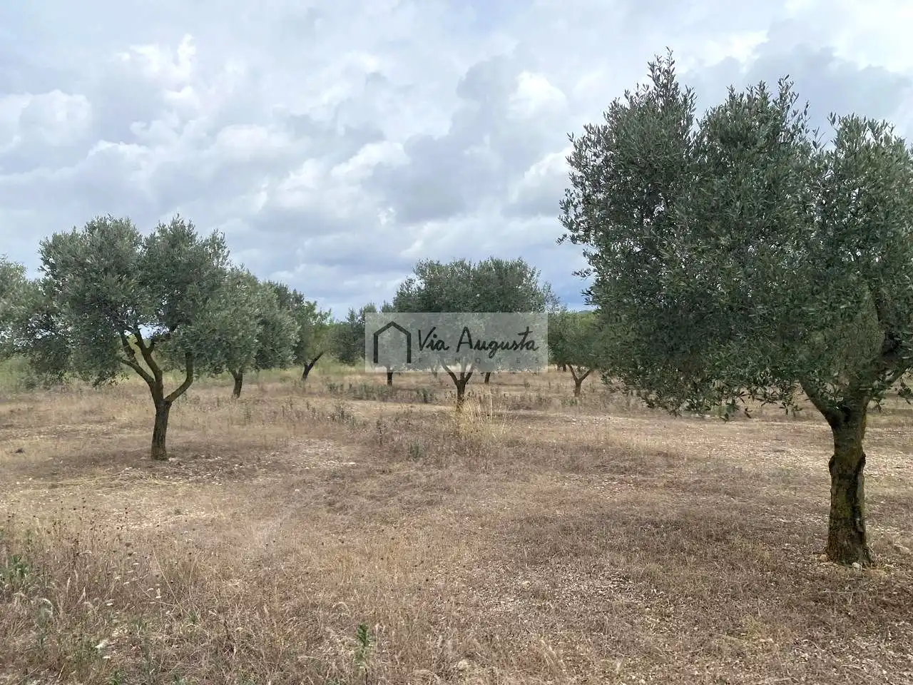 Terreno rustico in vendita a Burga, imagen 11