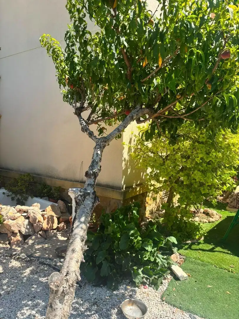 Haus mit Pool zum Verkauf in N/A, imagen 24