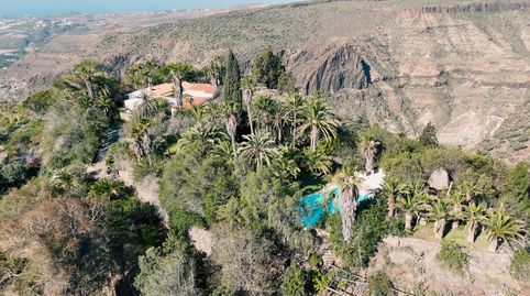 Foto 5 de Finca rústica en venta en Montaña - La Data, San Bartolomé de Tirajana