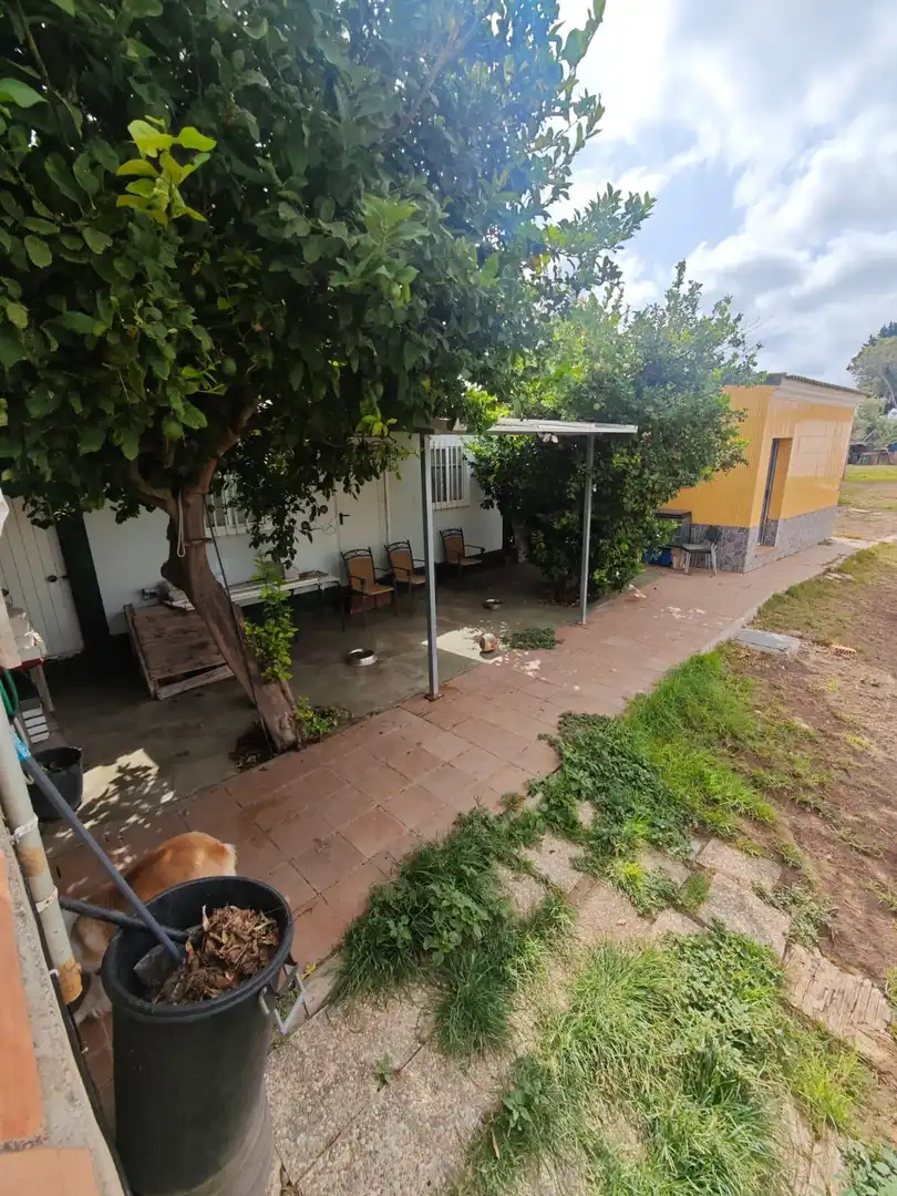 Vista exterior de Local en venda en Chiclana de la Frontera amb Aire condicionat
