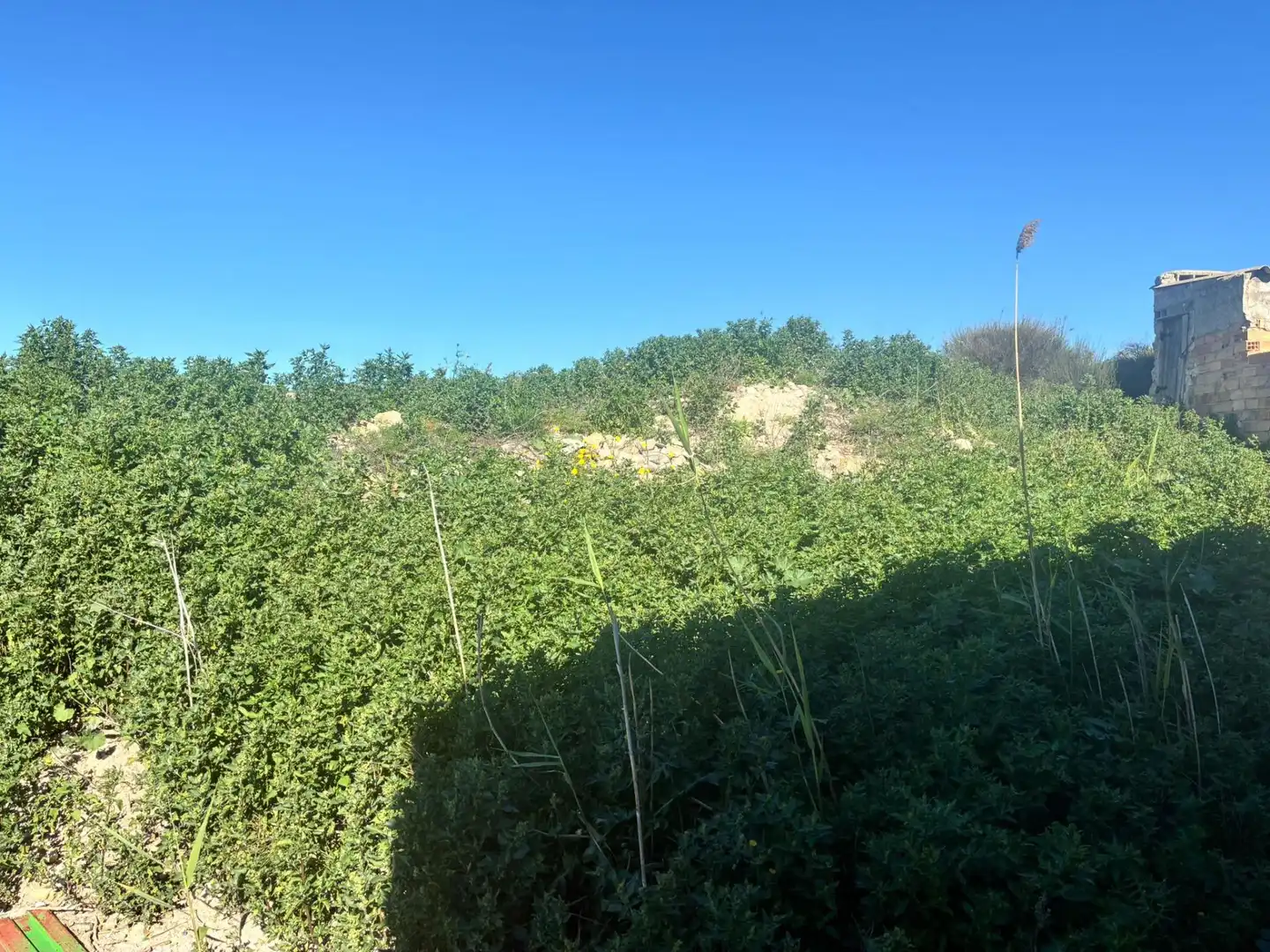 Casa o xalet en venda en Molina de Segura