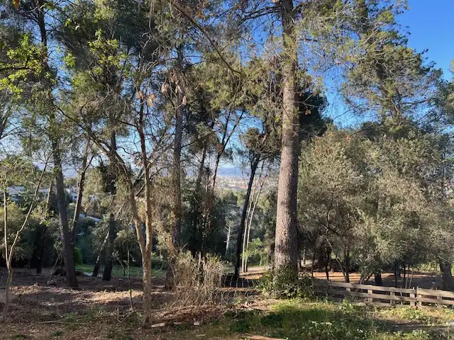 Residential land for sale in Carrer del Gamarús 7