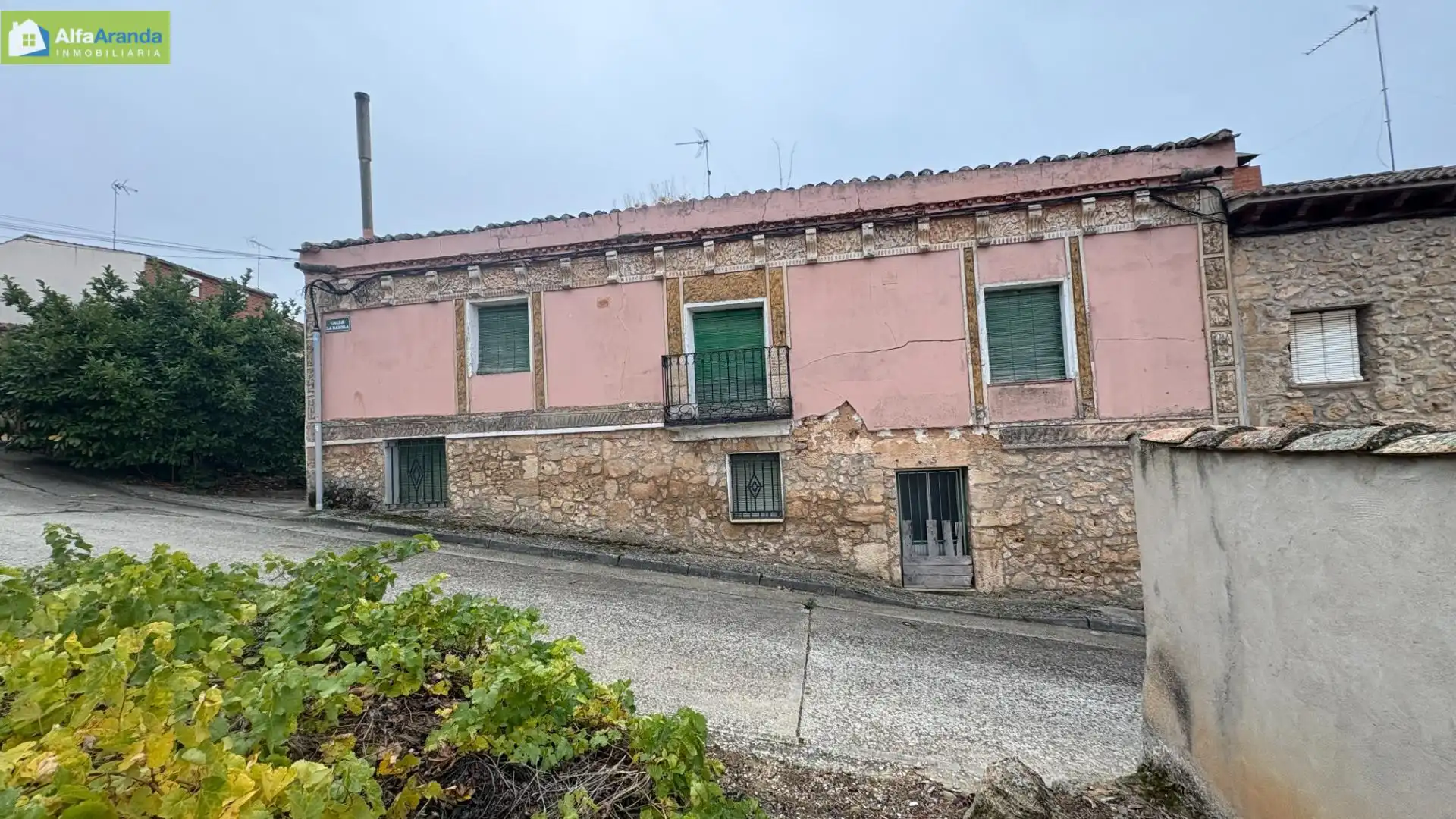 Vista exterior de Finca rústica en venta en Aranda de Duero con Jardín privado