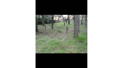 Solar en venta en Sils