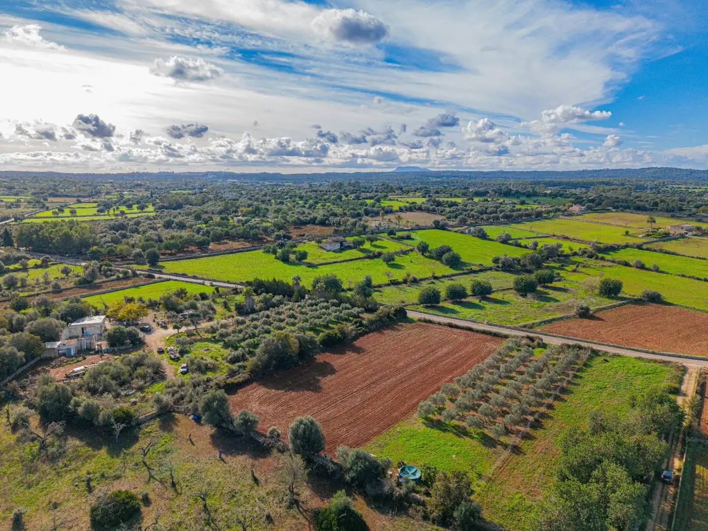 Terreny rústic en venda a Camino Camí de Vinyota, imagen 2