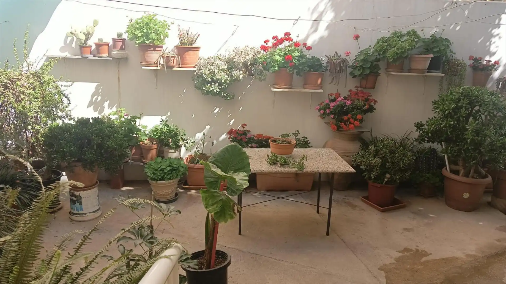 Terrace of Detached homes for rent in Riba-roja de Túria  with Terrace and Storage room