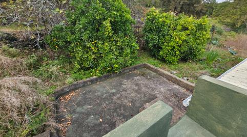 Foto 2 de Finca rústica en venda a Icod de los Vinos pueblo, Santa Cruz de Tenerife