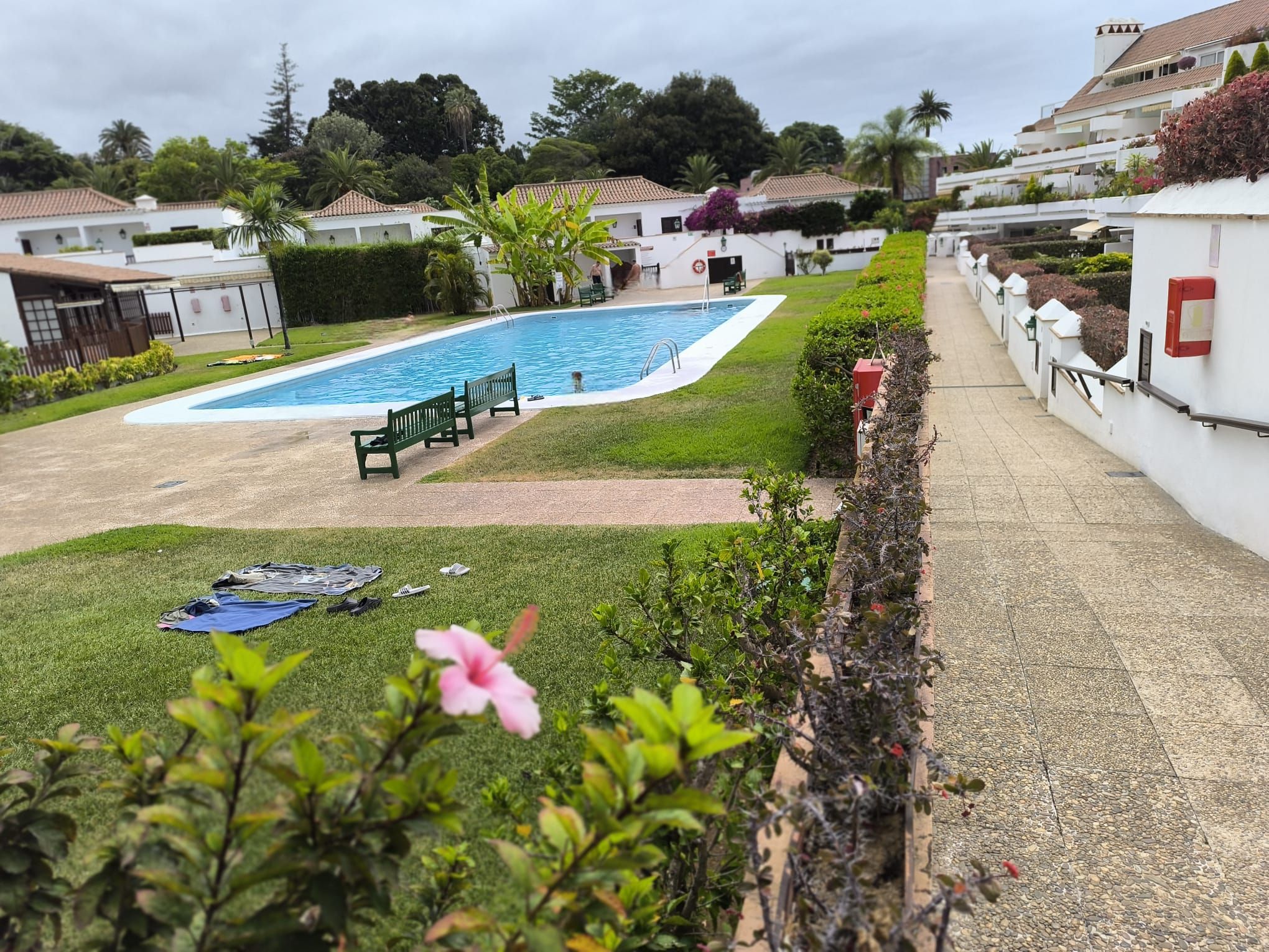 Swimming pool of House or chalet for sale in Puerto de la Cruz  with Private garden, Terrace and Oven