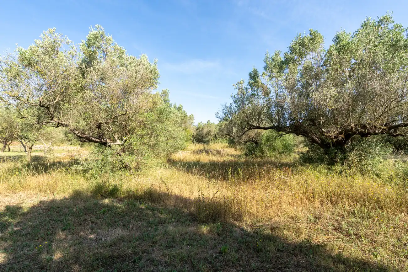 Terreno en venta en Aldover