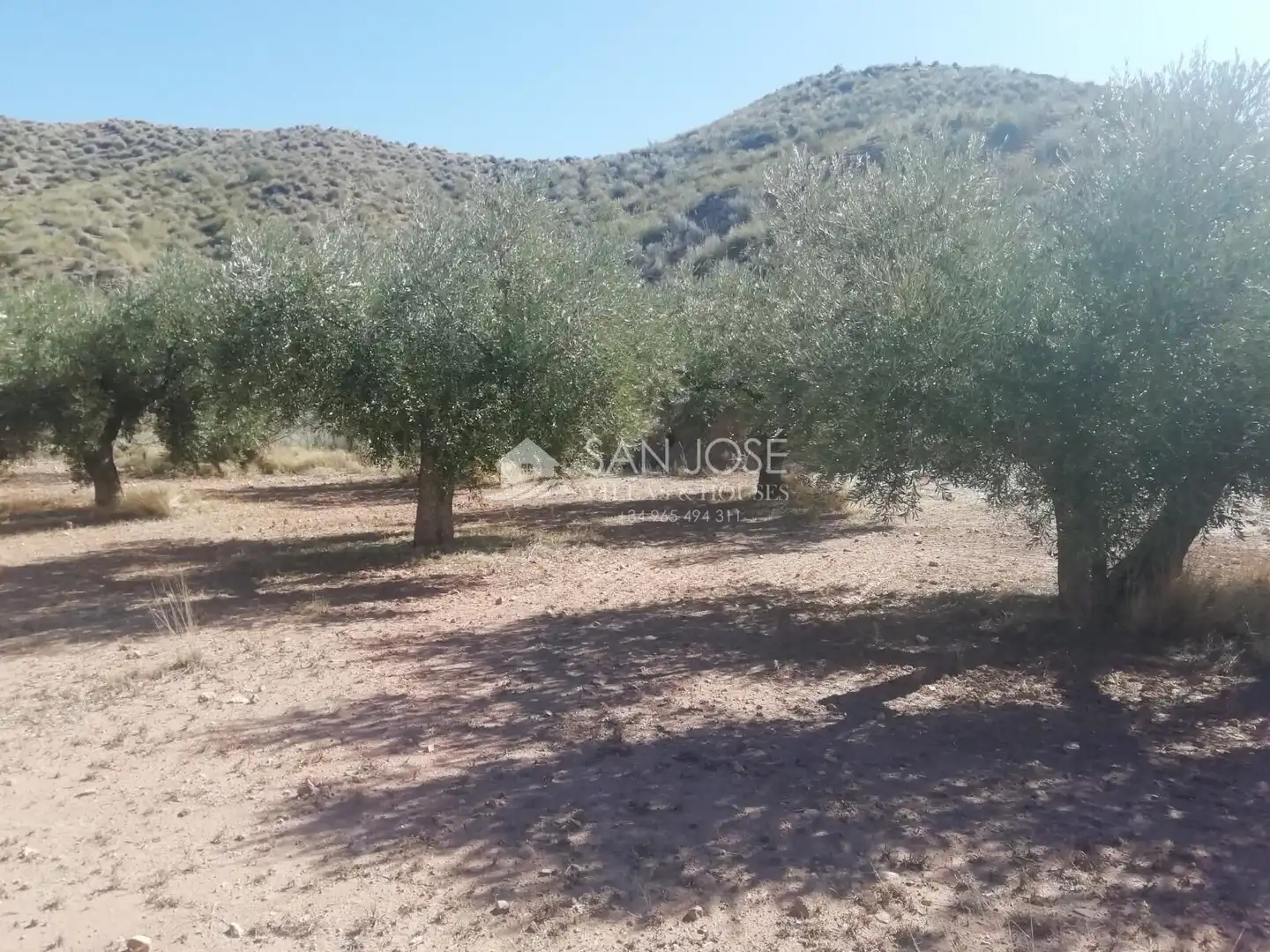 Lands and plots for sale in Abanilla, imagen 13