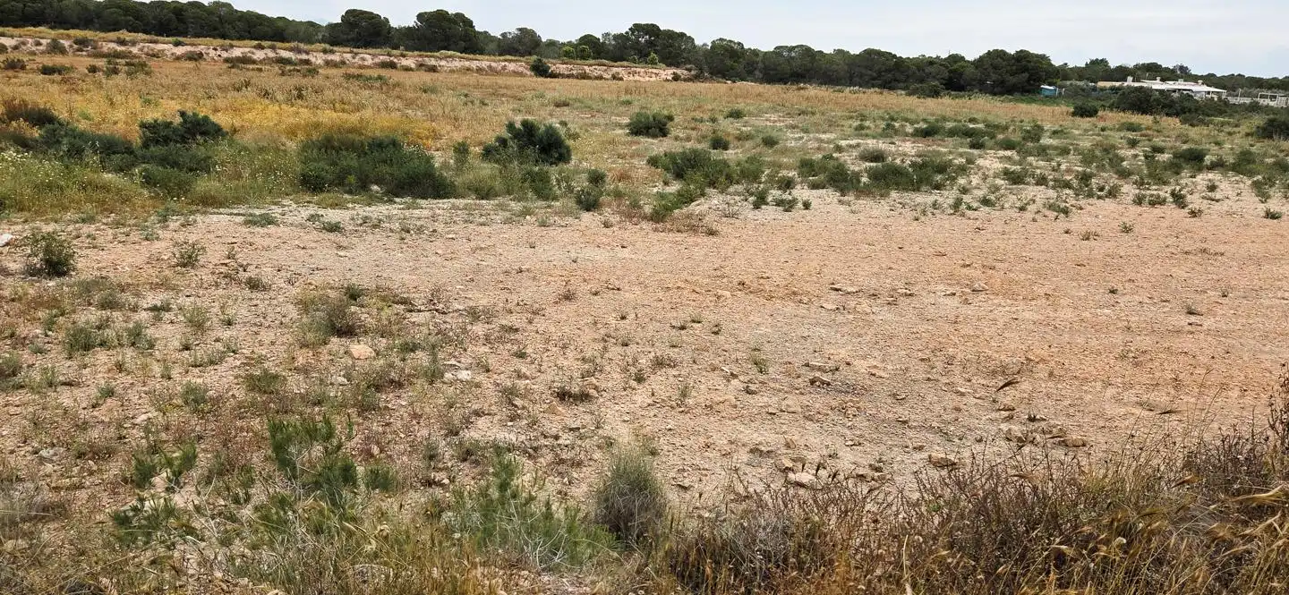Residential zum Verkauf in Elche / Elx