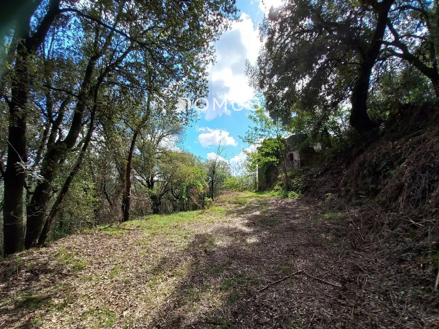 Finca rústica en venta en Sant Joan Les Fonts