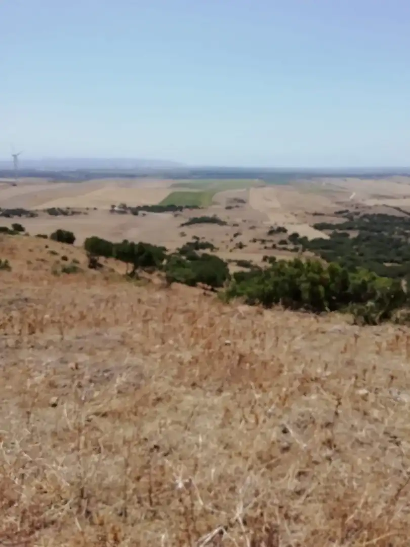 Casa rústica en venda a Medina Sidonia, imagen 7