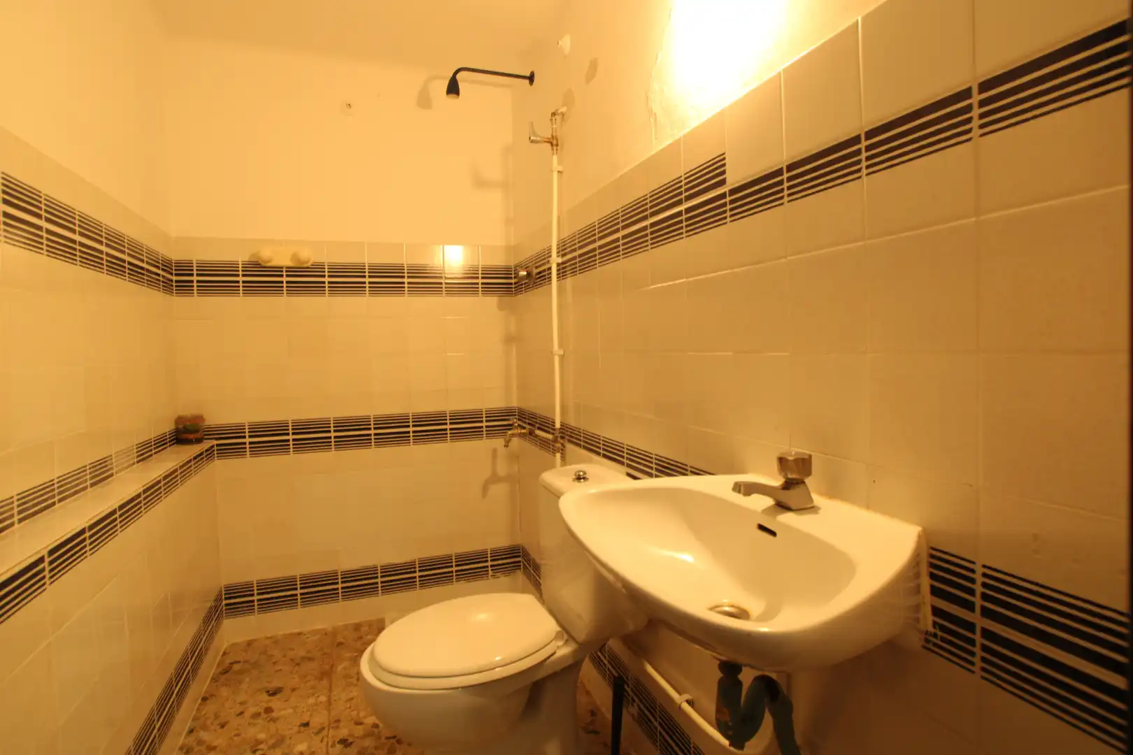Bathroom of Commercial properties for rent in Argentona