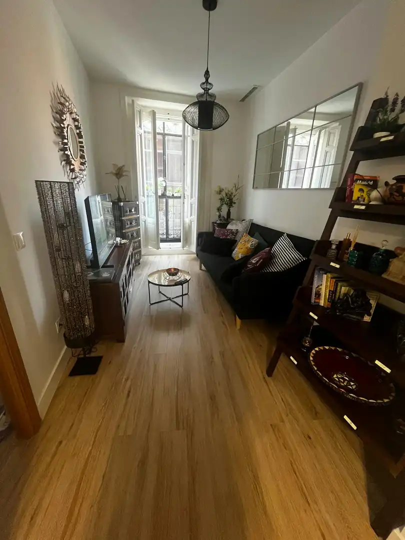 Sala d'estar de Pis de lloguer en Madrid amb Aire condicionat, Calefacció i Jardí privat