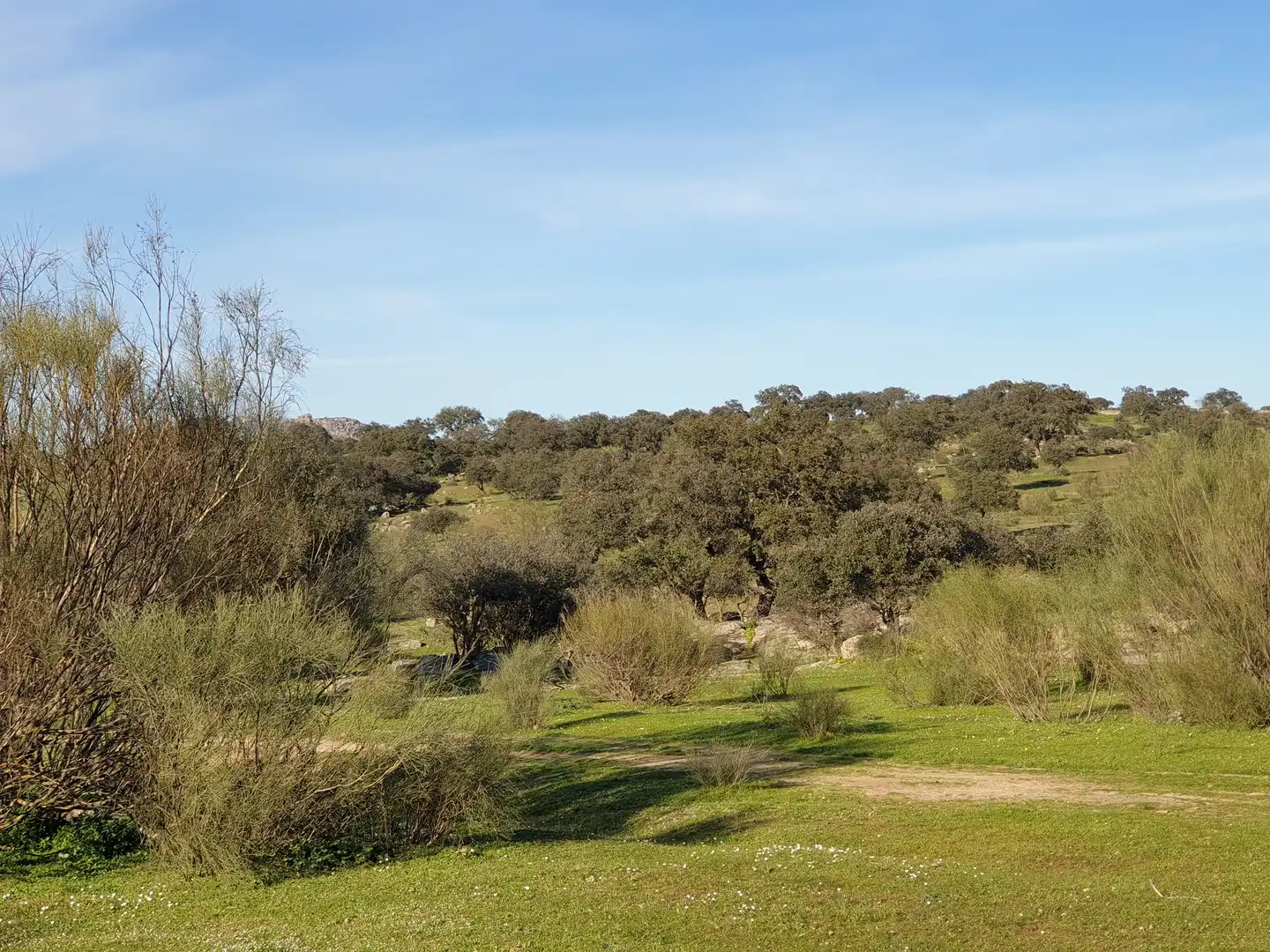 Terreni e lotti in vendita a Quintana de la Serena, imagen 3
