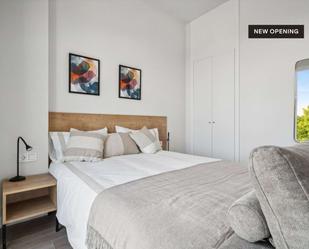 Bedroom of Study to share in  Madrid Capital  with Terrace