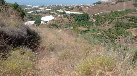 Foto 5 de Terreny en venda a N/a, -1, Lagos, Vélez-Málaga