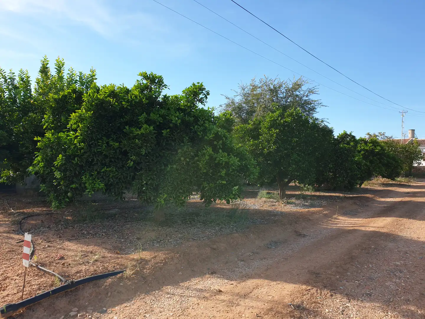 Casa rústica amb jardí en venda a A-4 319, imagen 2