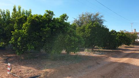 Foto 2 de Finca rústica en venda a A-4, 319, Andújar, Jaén