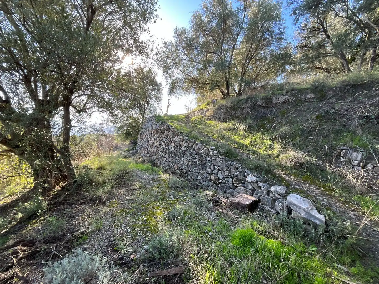 Terreni e lotti in vendita a Solera, imagen 22
