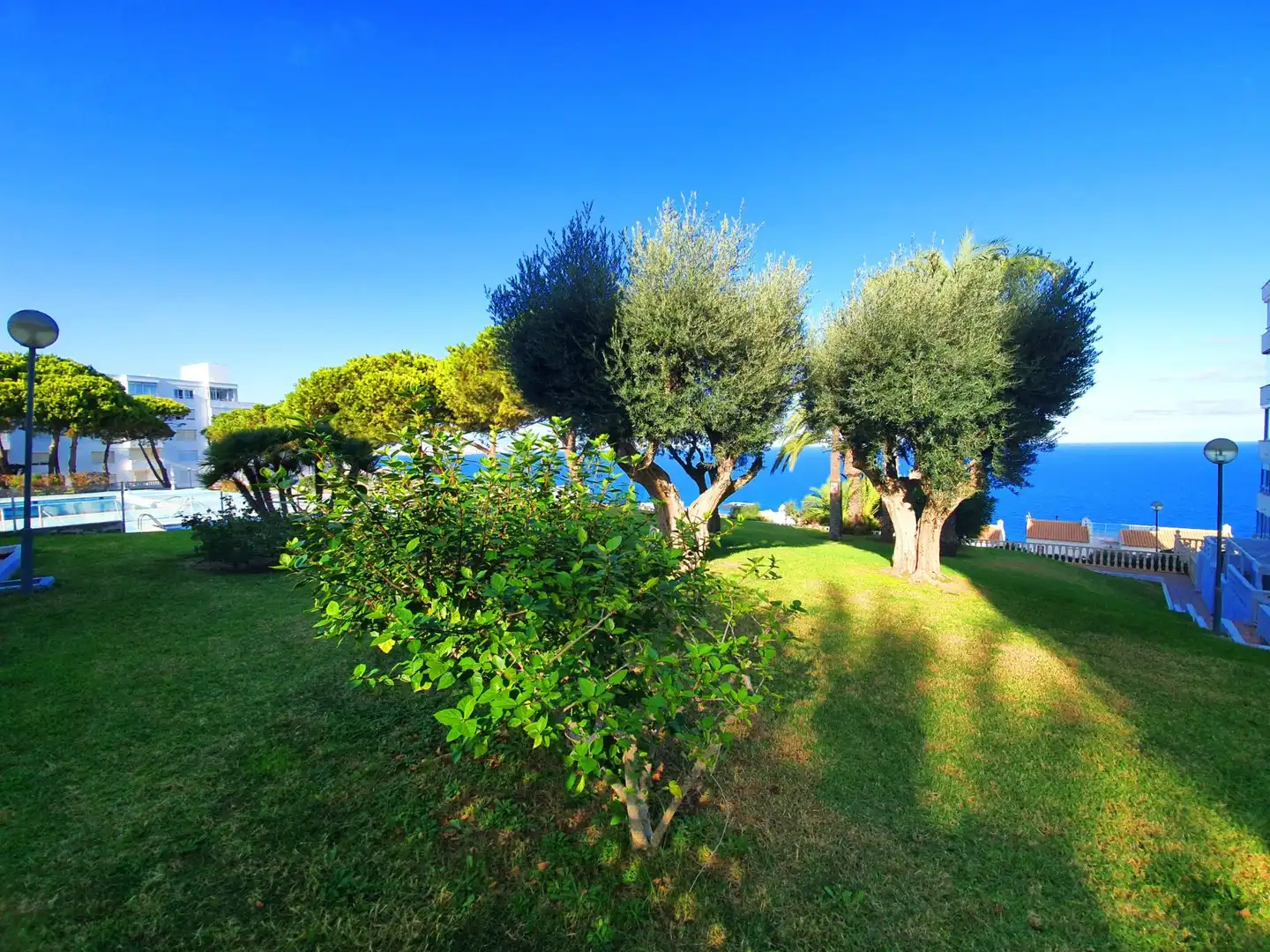 Jardí de Apartament en venda en Gran Alacant