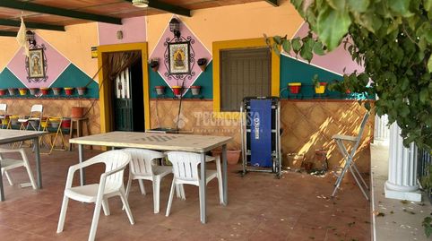 Foto 3 de Finca rústica en venda a La Hispanidad - Verdeluz, Huelva Capital